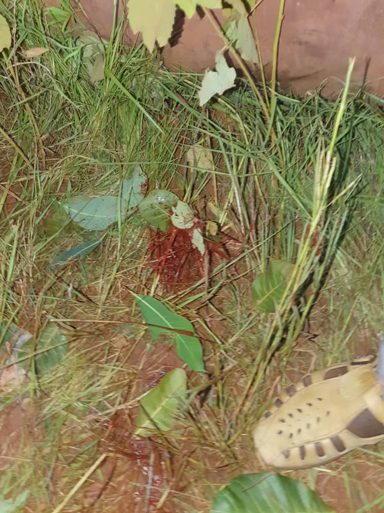 Siguiri/ Boukariah: un jeune orpailleur assassiné par des inconnus